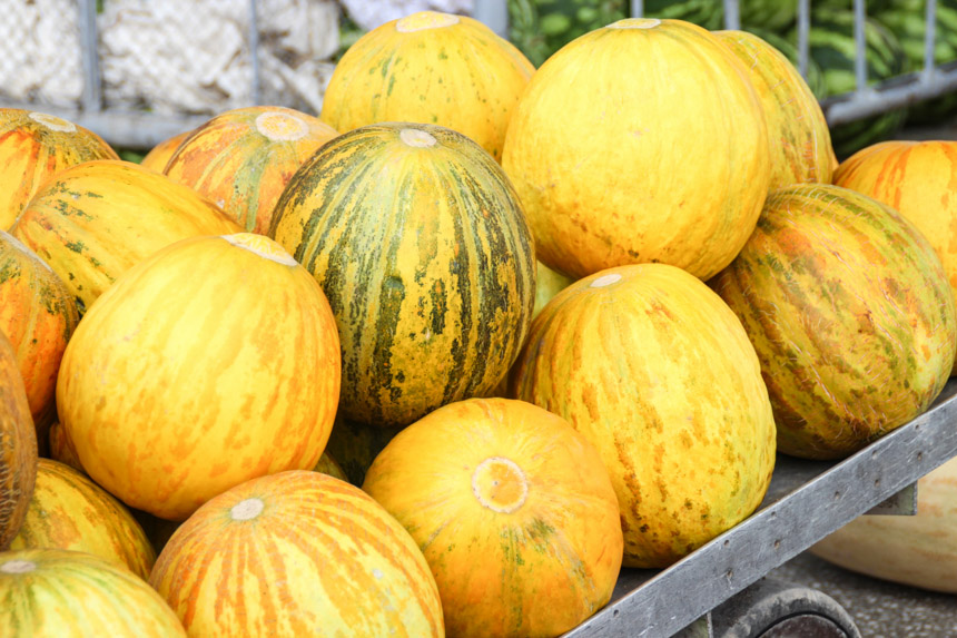 backpacking-guide-usbekistan-melonen