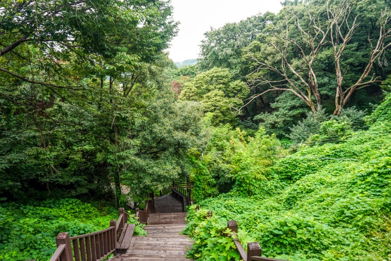 incheon-stopover-gangwa-island-green