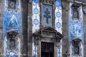 Rua thesis gaia picture